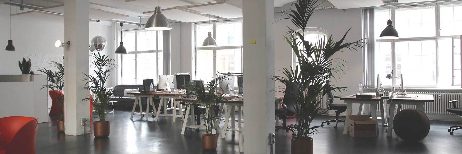 Living decor